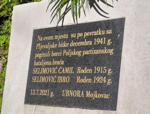 IPA Crna Gora